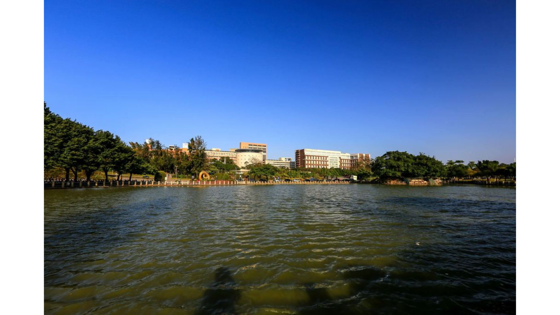 圖四 國立體育大學 (出處: 桃園市政府觀光旅遊局)